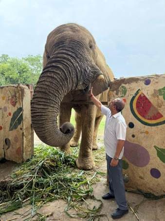 India Celebrates World Elephant Day 2025, Reinforcing Global Leadership in Elephant Conservation